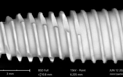 Biotem AR System — Overview
