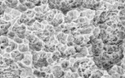 Biotem AR System — Body 5,000×