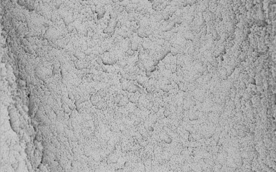 Dentis s-Clean SQ-SL — SEM
