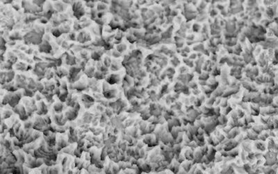 Izen Implant Zenex — Body 5,000×