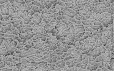 NucleOSS T6 torQ — Body 2,500×